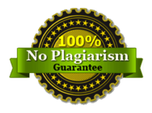 No Plagiarism Papers